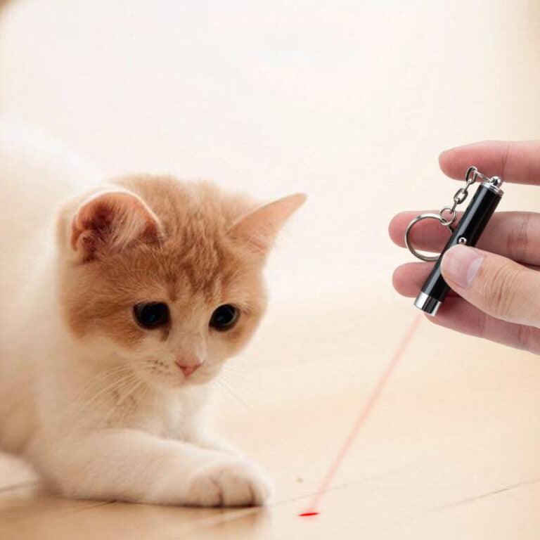 Plumire Pixa stylo pointeur lumineux rouge pour animaux - PixaMaoc