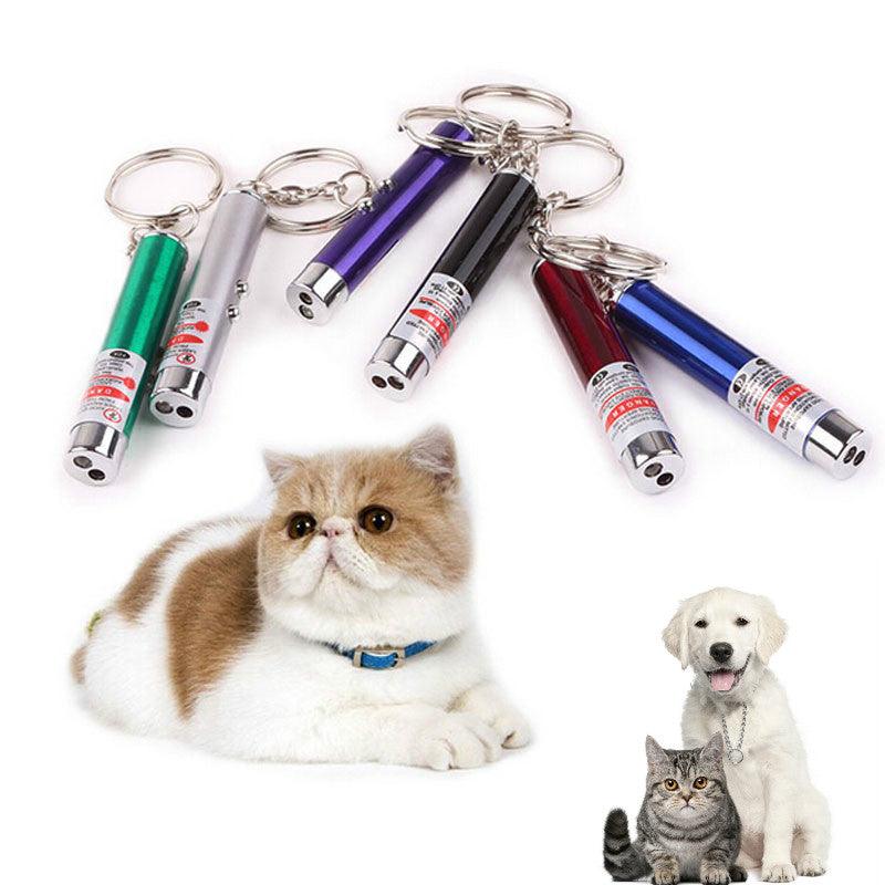 Plumire Pixa stylo pointeur lumineux rouge pour animaux - PixaMaoc 